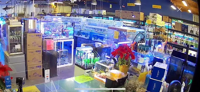 Seaside Tropical Fish Picture 2
