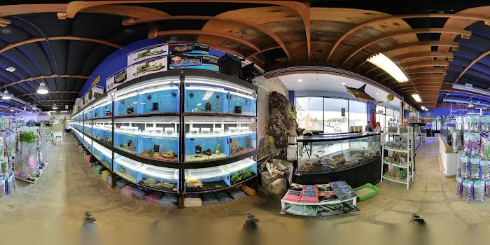 Seaside Tropical Fish Picture 7