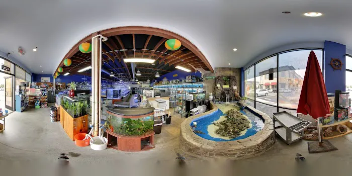 Seaside Tropical Fish Picture 6