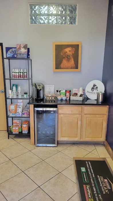 Pinnacle Peak Animal Hospital Picture 3