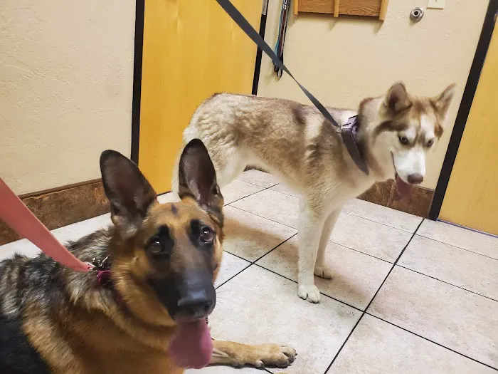 Pinnacle Peak Animal Hospital Picture 1