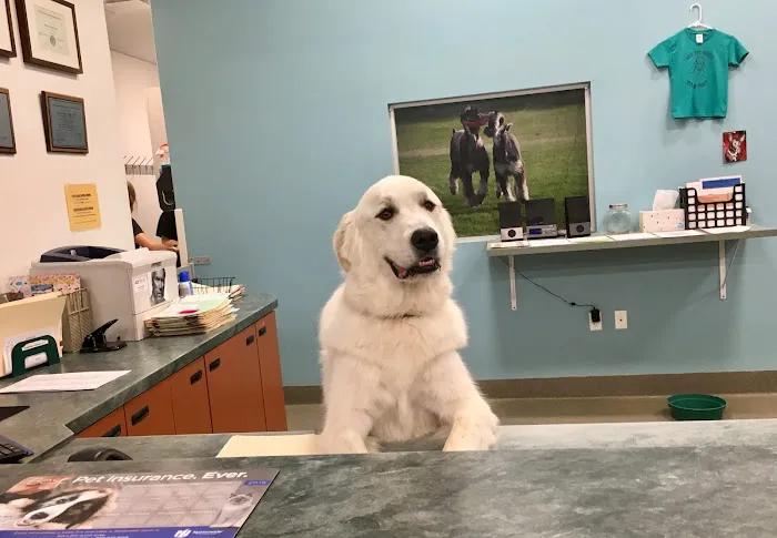 Deer Creek Animal Hospital & Pet Resort Picture 2