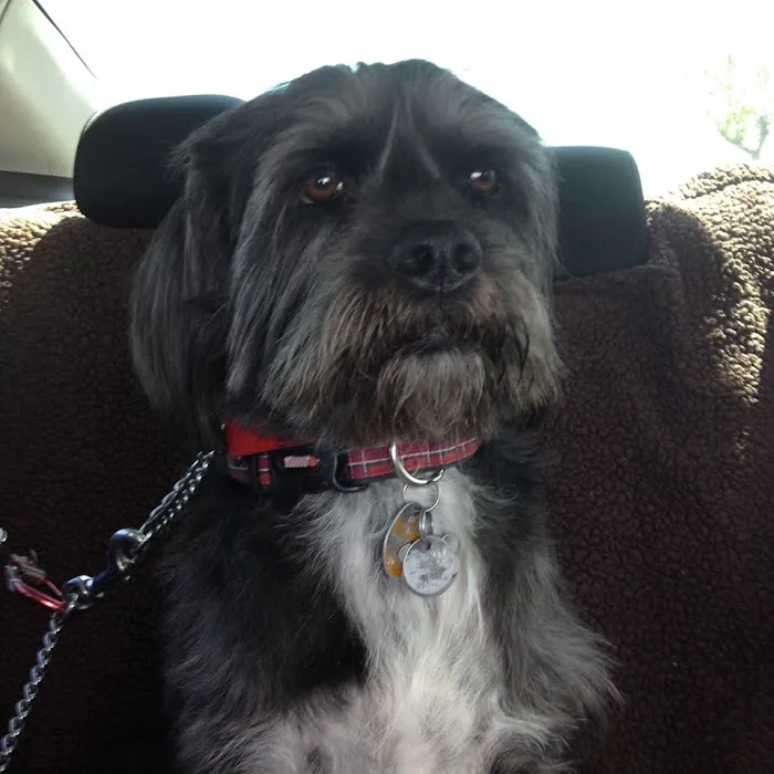 Deer Creek Animal Hospital & Pet Resort Picture 6