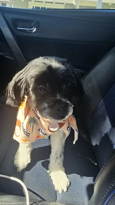 Petco Picture 2