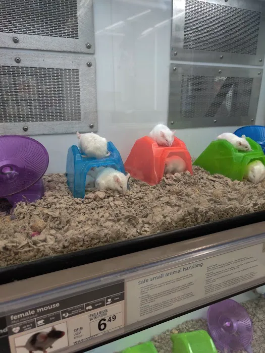 Petco Picture 8