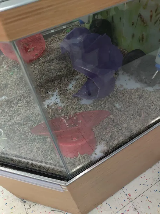 Petco Picture 10