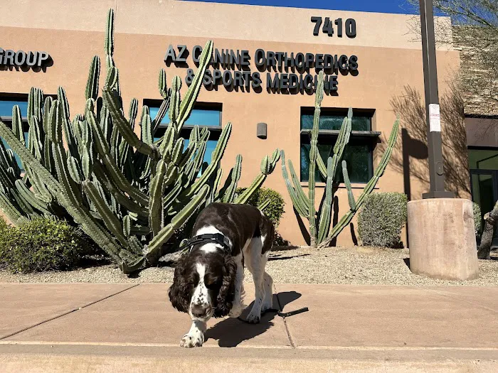 Animal Specialty Group of Scottsdale Picture 3
