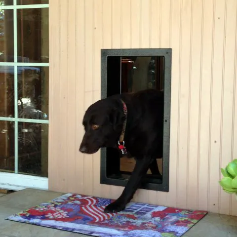 Solo Pet Doors Picture 3