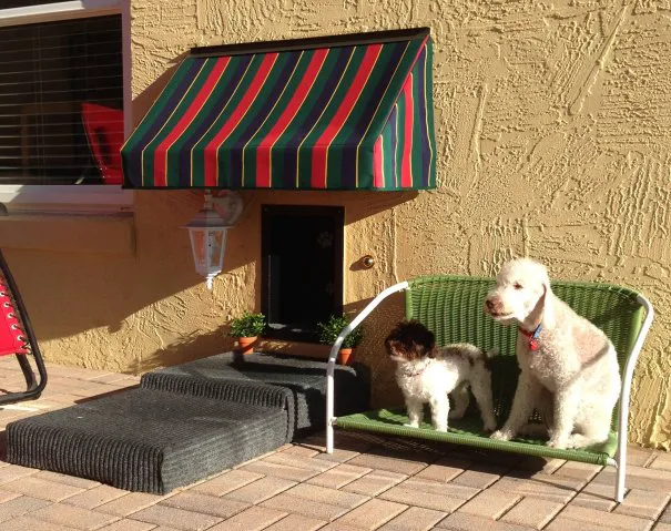 Solo Pet Doors Picture 4