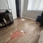 Pet Urgent Care