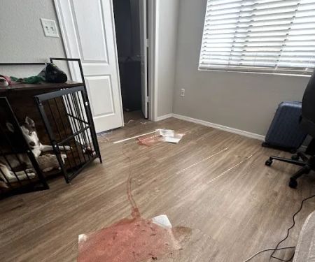 Pet Urgent Care