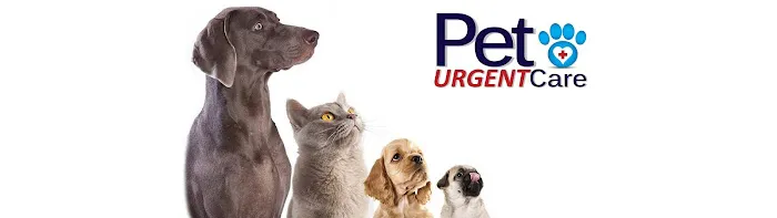 Pet Urgent Care Picture 10