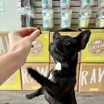Cali Raw Dog Food
