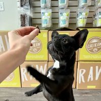Cali Raw Dog Food ico