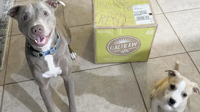 Cali Raw Dog Food Picture 7