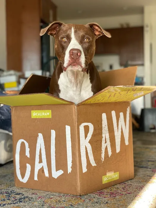 Cali Raw Dog Food Picture 5