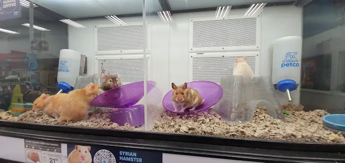 Petco Picture 4