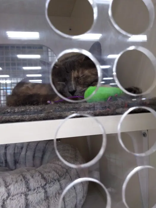 Petco Picture 8