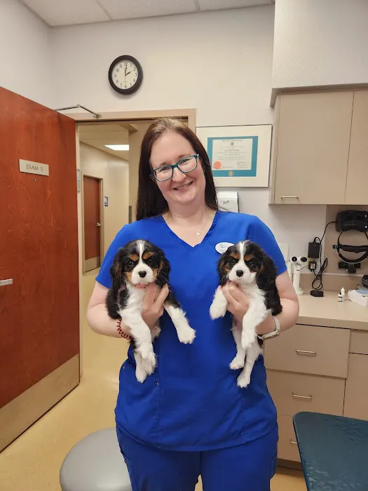 Eye Care for Animals - Gilbert Picture 2