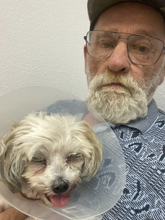 Eye Care for Animals - Gilbert Picture 7