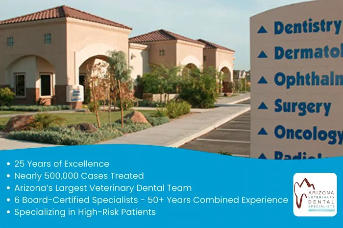 Arizona Veterinary Dental Specialists - Gilbert Picture 9