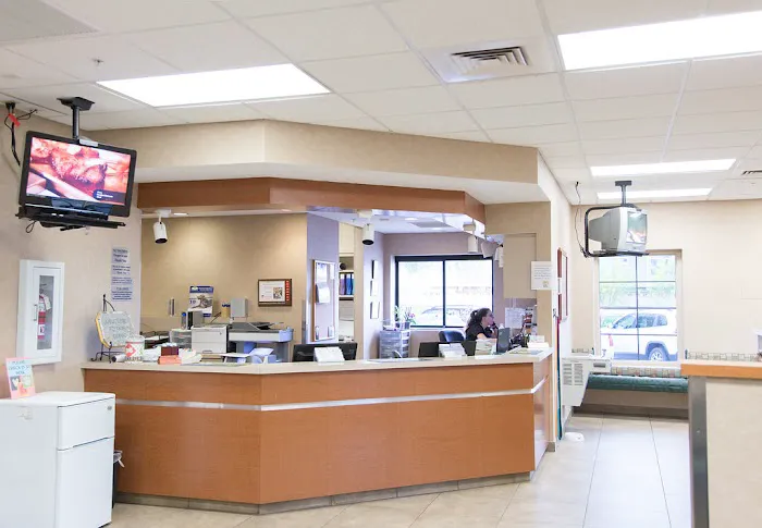 Arizona Veterinary Dental Specialists - Gilbert Picture 10