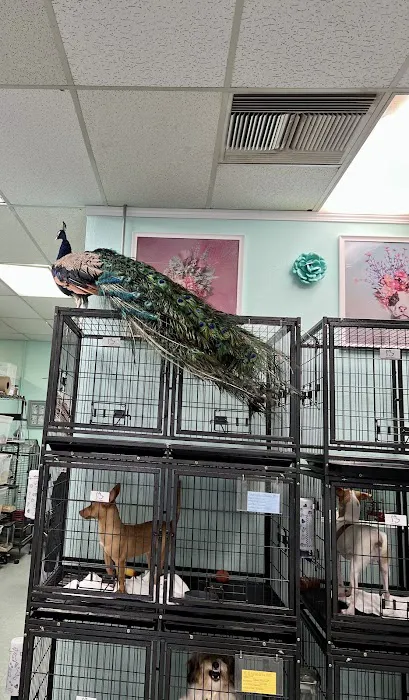 The Pet Stop Picture 2