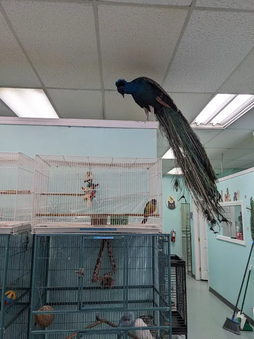 The Pet Stop Picture 3