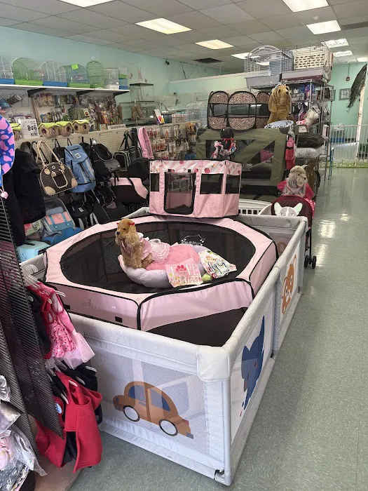 The Pet Stop Picture 7