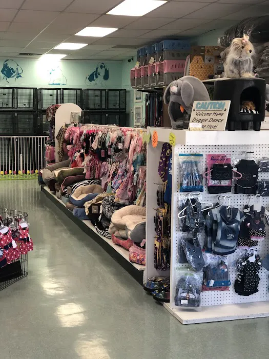 The Pet Stop Picture 10