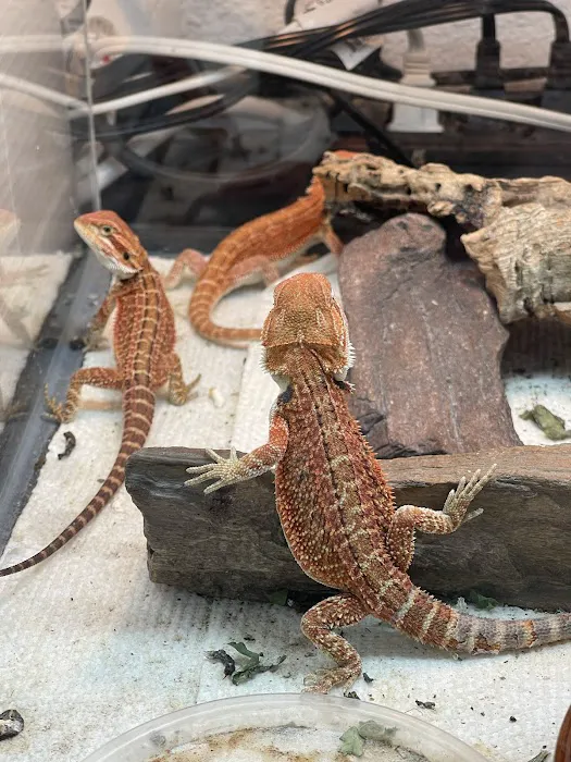 Ontario Pets & Supplies Picture 7