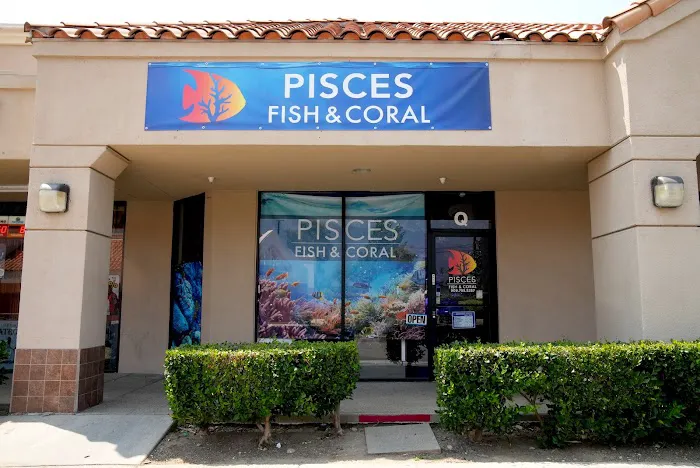 Pisces Fish and Coral Picture 2