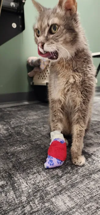 Curem Veterinary Care Picture 6