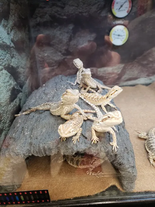 Petco Picture 3