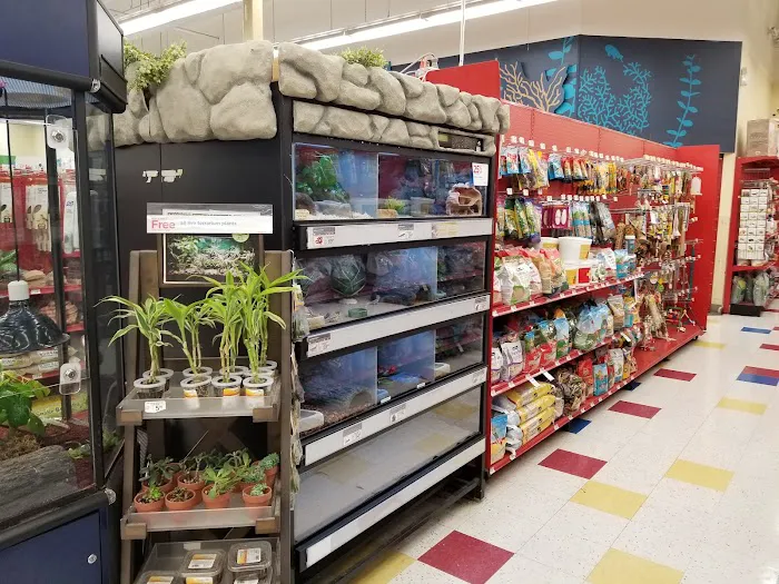 Petco Picture 4