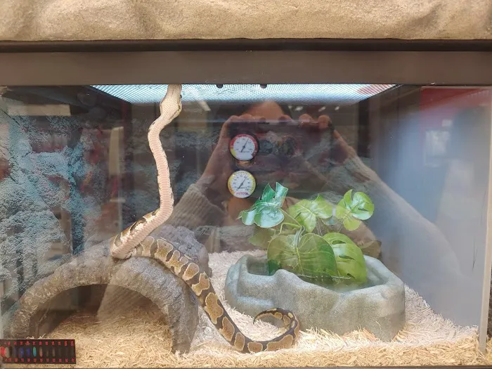 Petco Picture 7