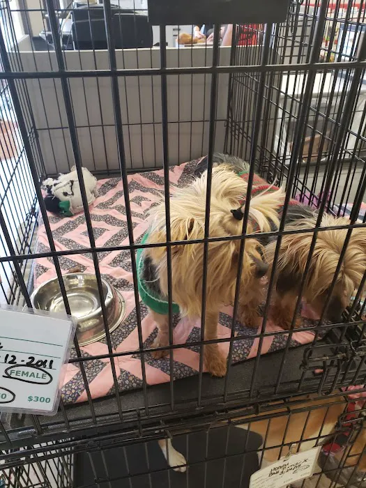 Petco Picture 9