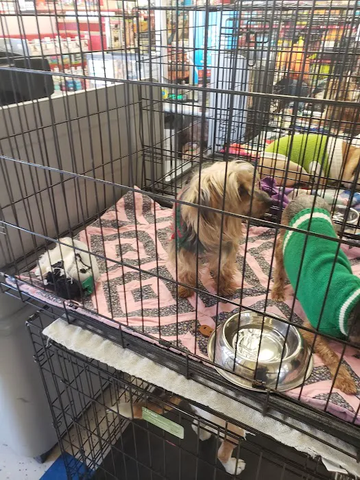 Petco Picture 10