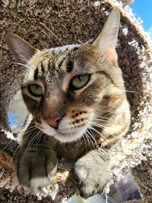 Affordable Veterinary Clinic Picture 8