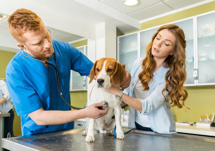 Affordable Veterinary Clinic Picture 6