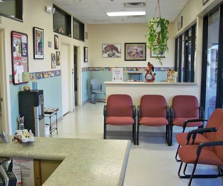 Red Mountain Animal Hospital