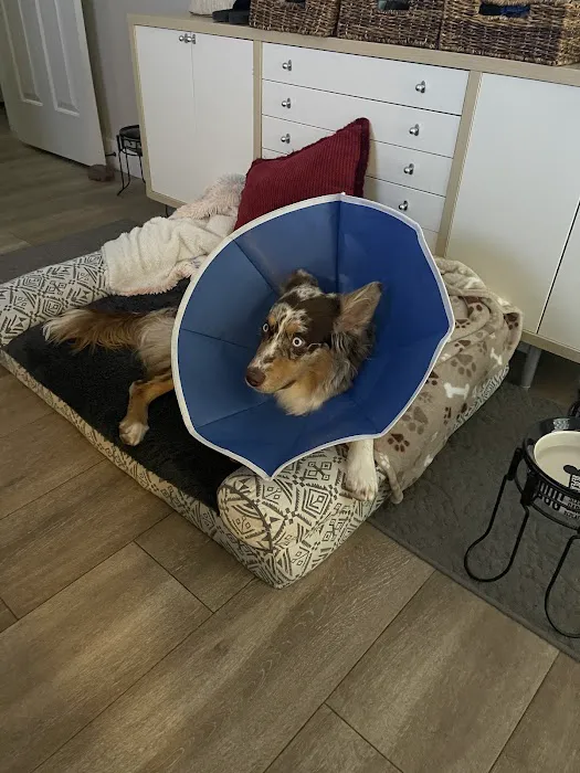 Red Mountain Animal Hospital Picture 7