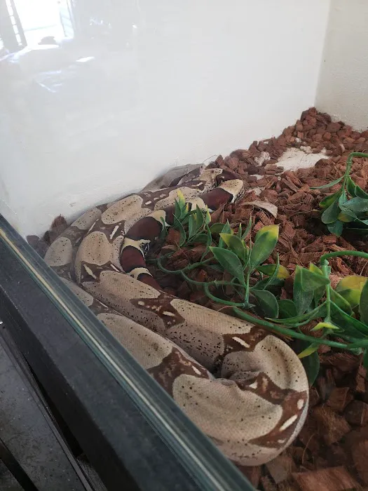 Tails2Scales Pet Shop Picture 3