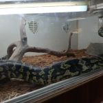 Tails2Scales Pet Shop