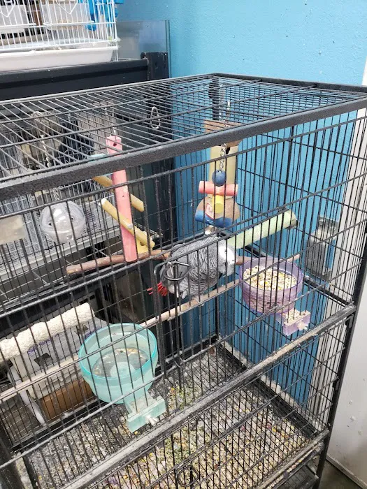 Tails2Scales Pet Shop Picture 4