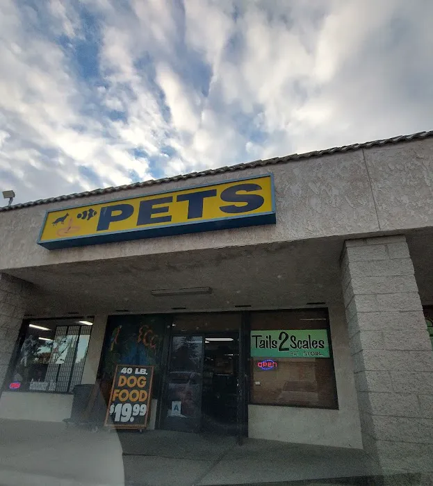 Tails2Scales Pet Shop Picture 5