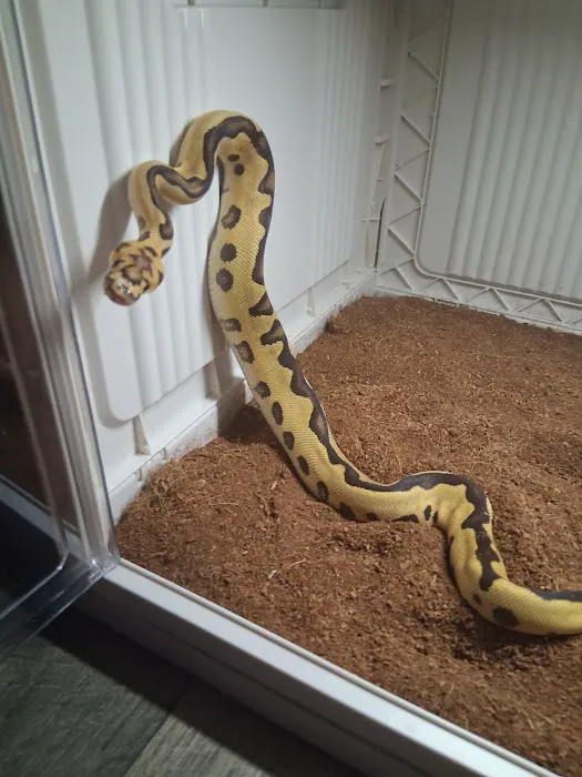 Tails2Scales Pet Shop Picture 7