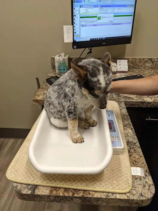Parkway Animal Clinic Picture 2