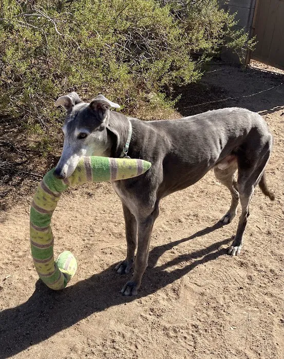 Parkway Animal Clinic Picture 5