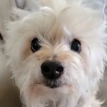 Parkway Animal Clinic